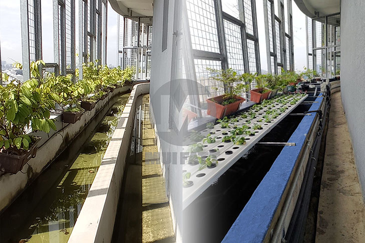 Side-by-side comparison of rooftop aquaponic grow channel at Bandar Utama before and after FRP lamination, showing clear transformation and improved water containment.