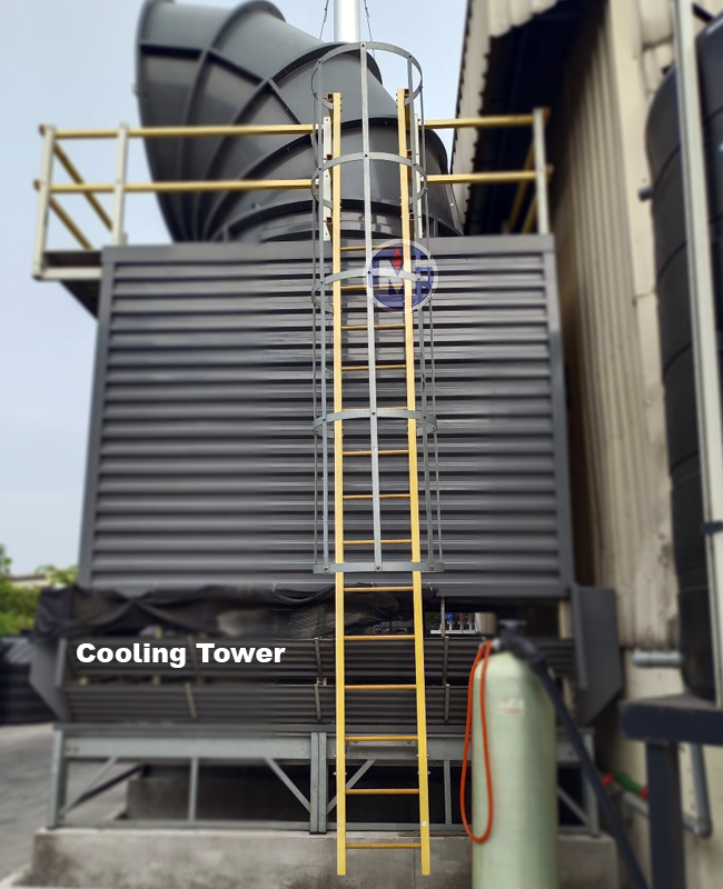 Cage Ladder, Cat Ladder, Fixed Ladder, Industrial Residential Commercial, Cooling Tower