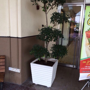 Mall planter pot fiberglass