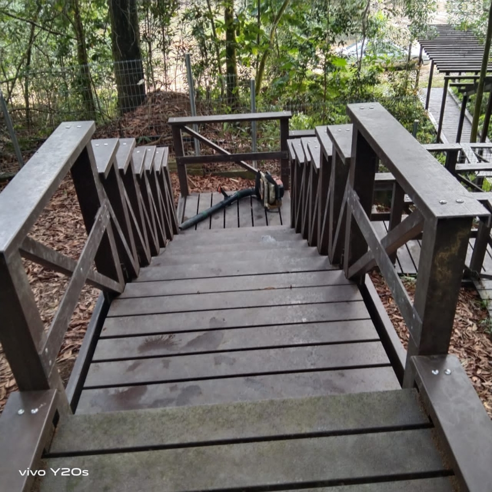 Revitalize Your Trails with FRIM Fiberglass FRP Boardwalks Eco