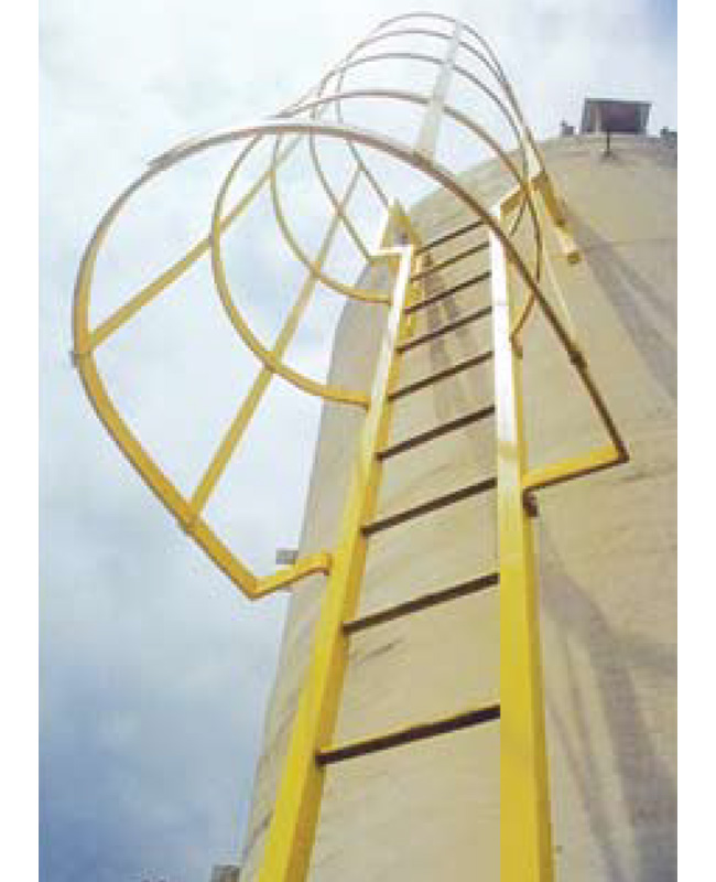 FRP Ladder System