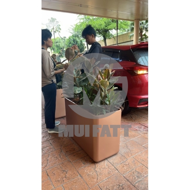 Pin You Cube Rectangular FRP Planter Box (600 x 600 x 600 H mm)